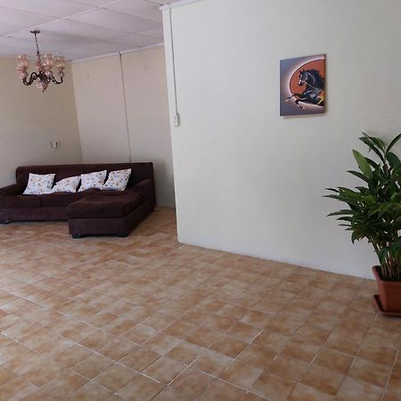 Mi Hogar Apartment Julianadorp Ngoại thất bức ảnh