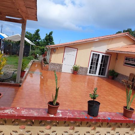 Mi Hogar Apartment Julianadorp Ngoại thất bức ảnh