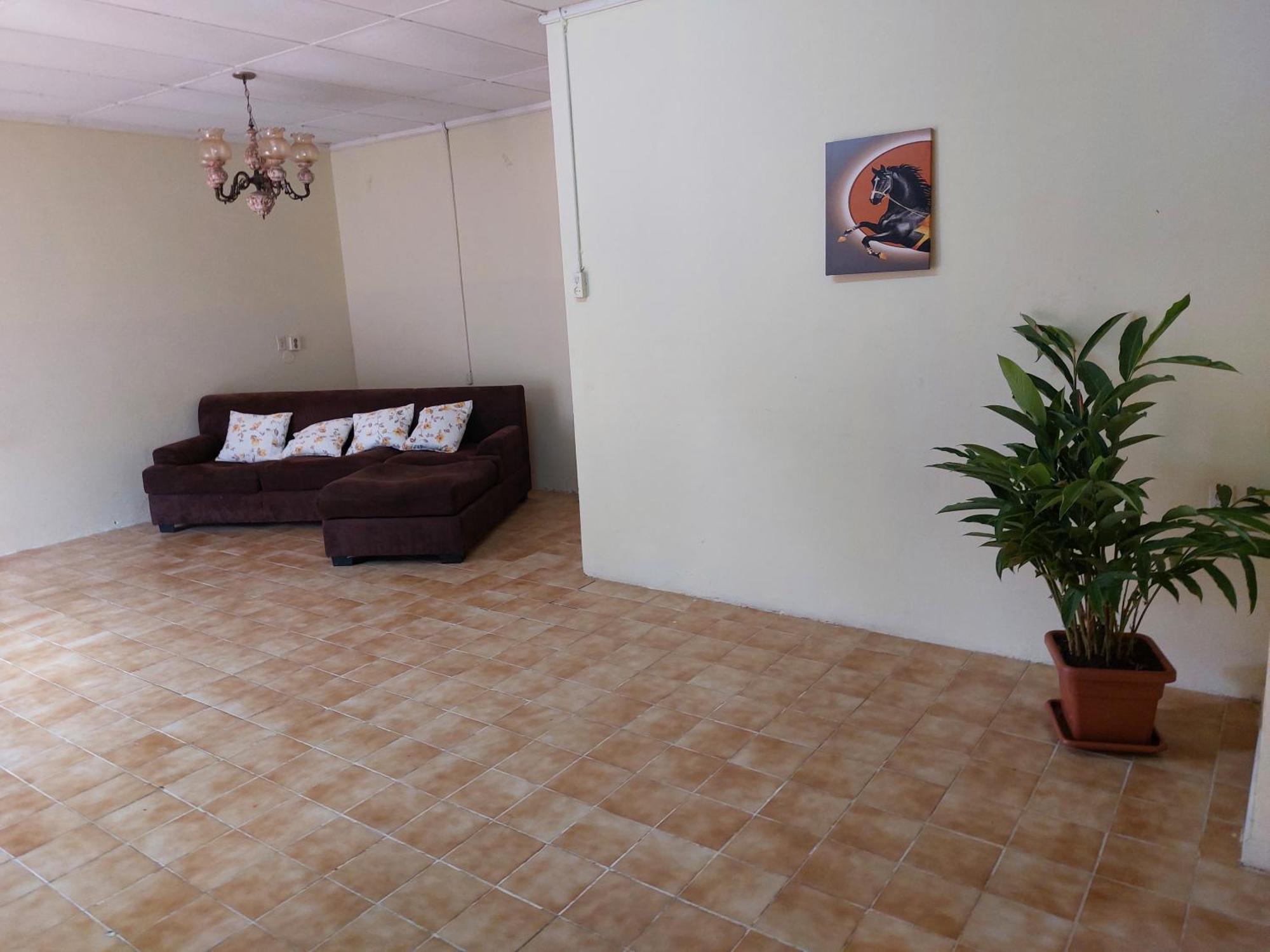 Mi Hogar Apartment Julianadorp Ngoại thất bức ảnh